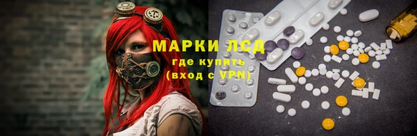 ГАЛЛЮЦИНОГЕННЫЕ ГРИБЫ Балахна
