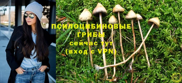 ГАЛЛЮЦИНОГЕННЫЕ ГРИБЫ Балахна