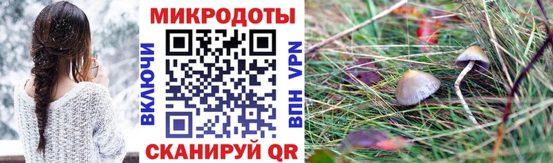 Купить где  Могоча  Галлюциногенные грибы GOLDEN TEACHER 