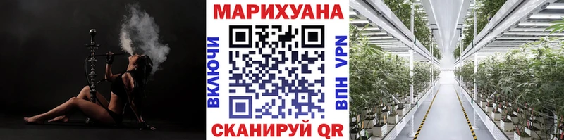 Бошки Шишки THC 21%  Купить закладки  Могоча 